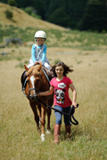 Fair-horses-1-edited
